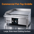 Electric Griddle/G12